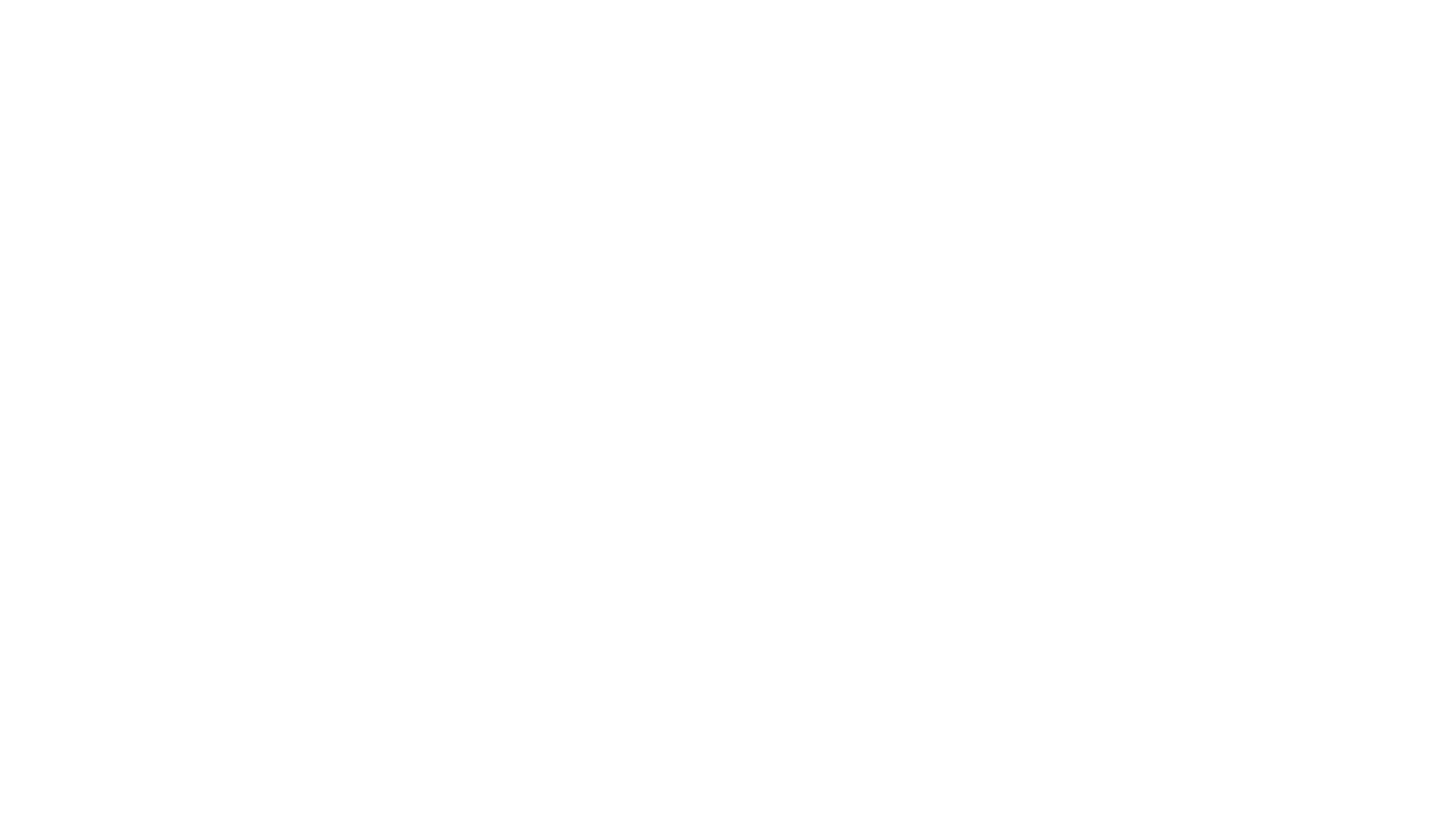 Ronin-Brand